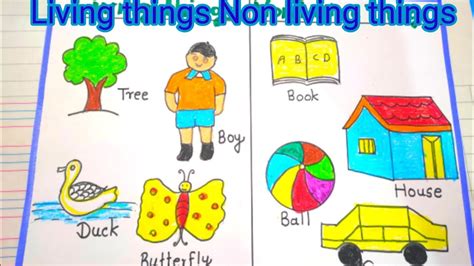 drawing of non living things is called|LIVING AND NON.